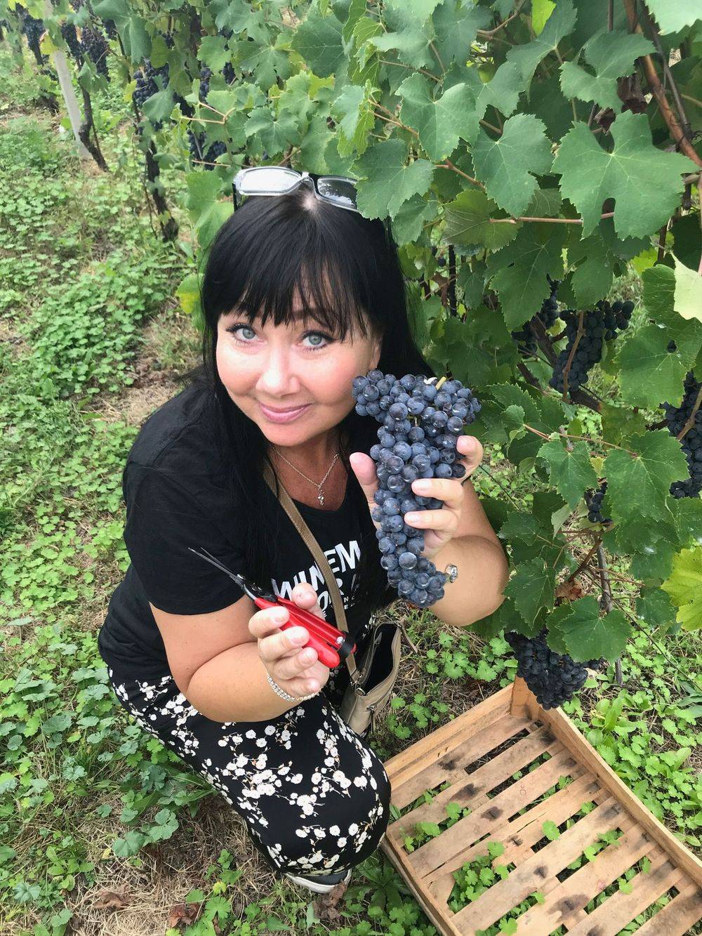 Eva Weckstr&ouml;m sommelier.jpg