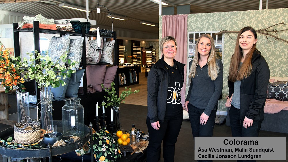 Bild hos colorama med delar av personalen