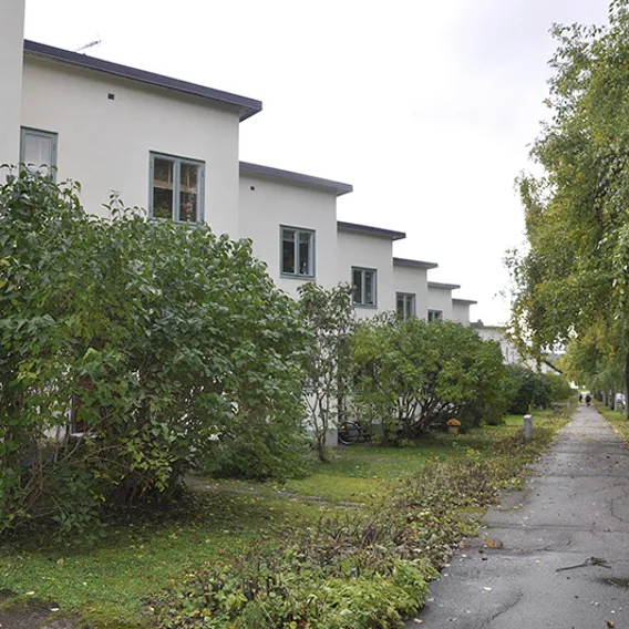 Hus vid väg