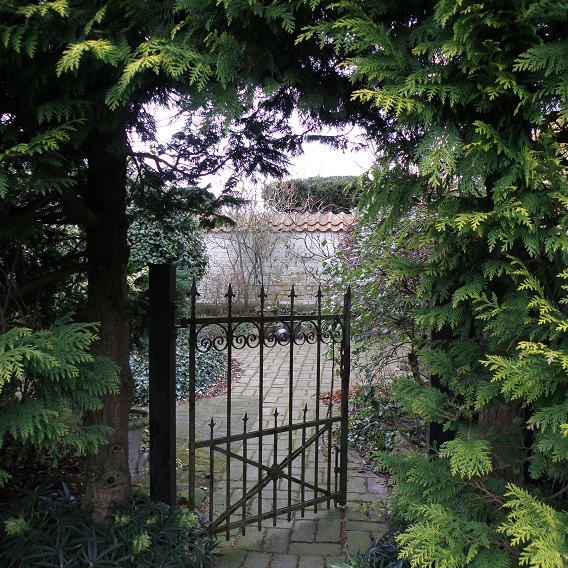 Svart metallgrind vid buskage