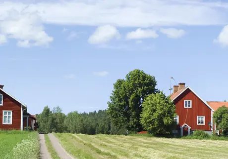 Landsbygd med röda hus i Leksand