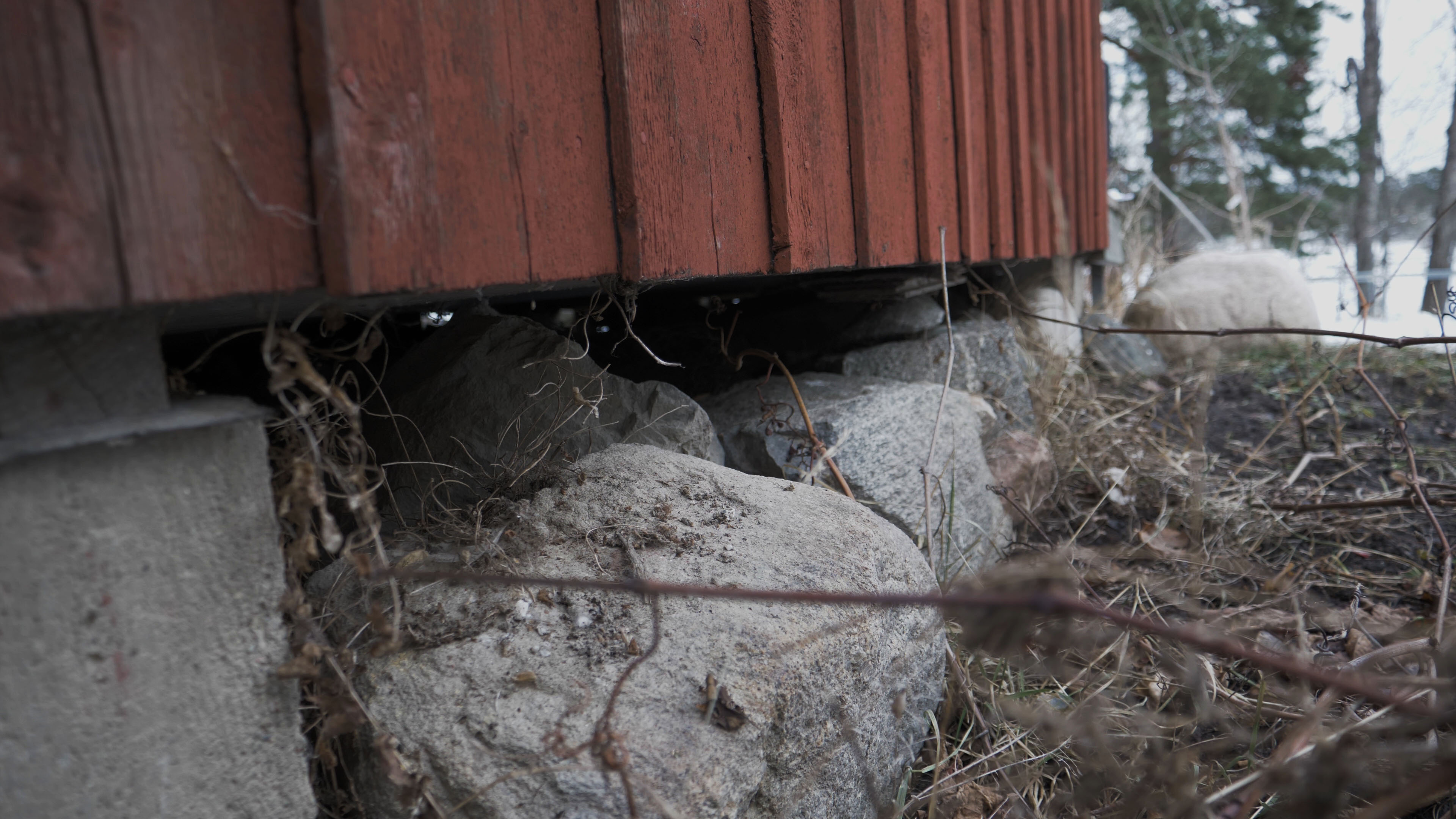 Röd träfasad på torpargrund