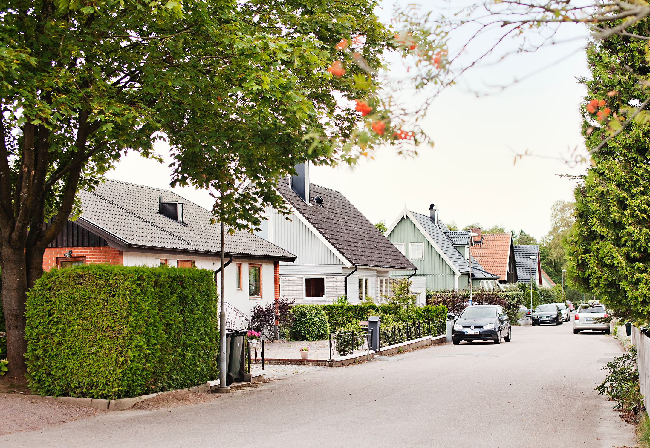 Mysigt villaområde bland gröna buskar och träd