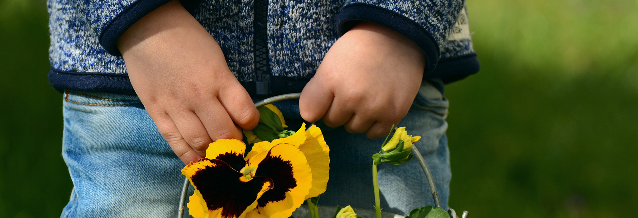barn som håller hink med penséer