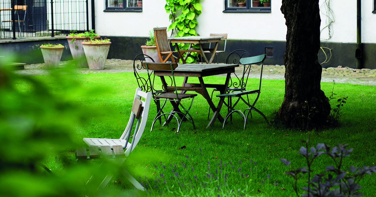 Trädgård med välskött gräsmatta