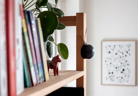 Radondosa som hänger vid en hylla med böcker